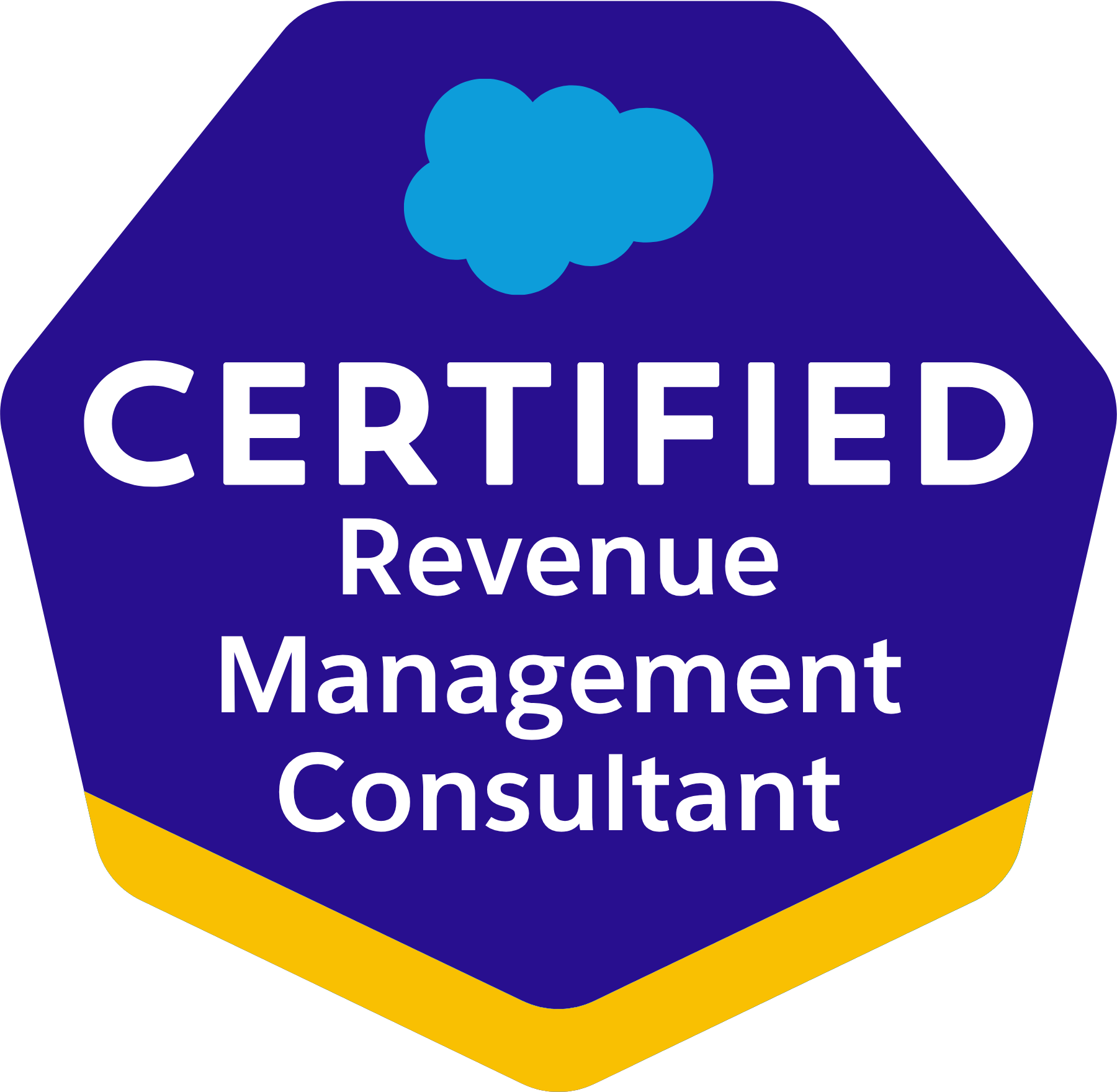 Salesforce Certified Revenue Management Consultant