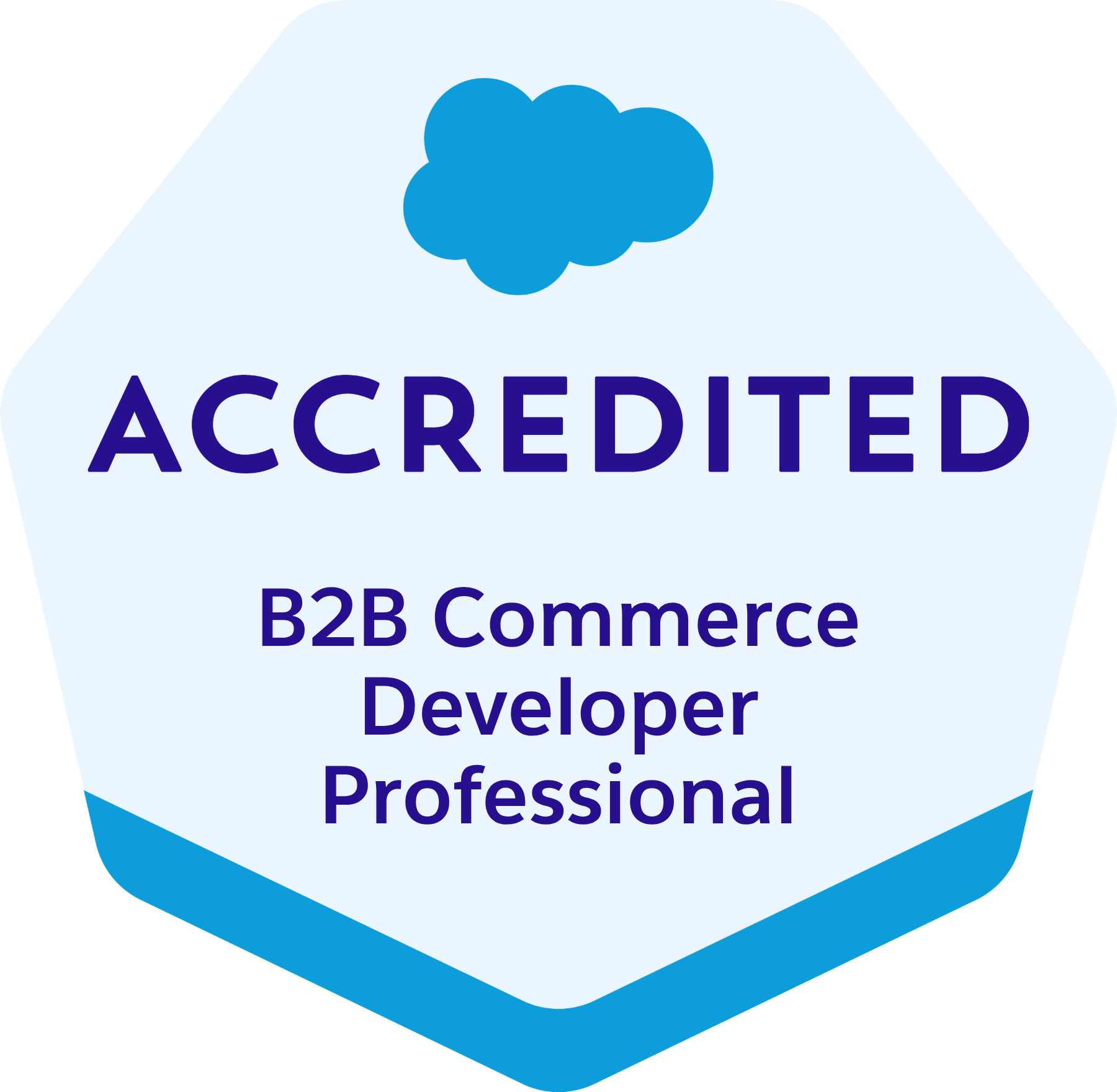 Salesforce Certified B2B Commerce Developer Professional